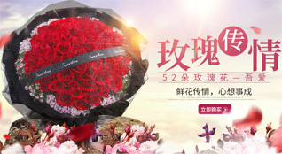 甘肃省庆阳环县秦团庄乡大天子村鲜花速递